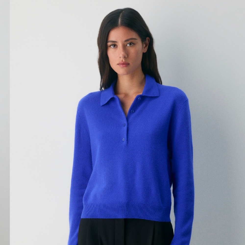 Aritzia cashmere polo